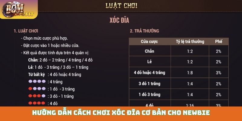 Hướng dẫn cách chơi xóc đĩa cơ bản cho newbie