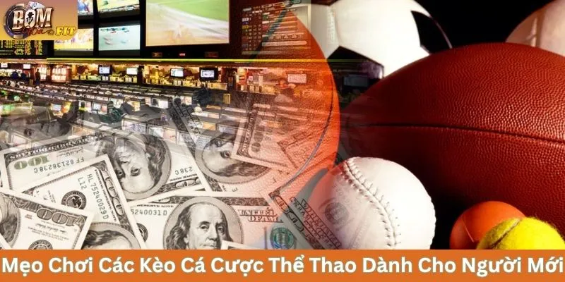 Cách Chơi Các Kèo Cá Cược Thể Thao Và Mẹo Soi Chuẩn Mẹo chơi các kèo cá cược thể thao dành cho người mới